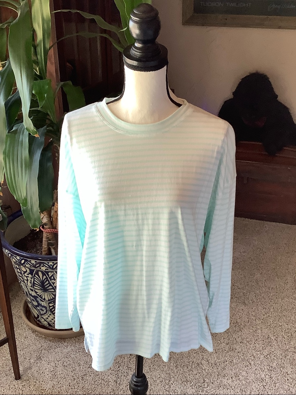Nw AYR Light Aqua Striped Long-Sleeve Tee